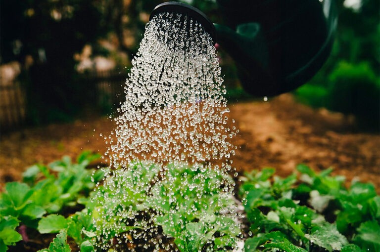 La gestion de l'eau
