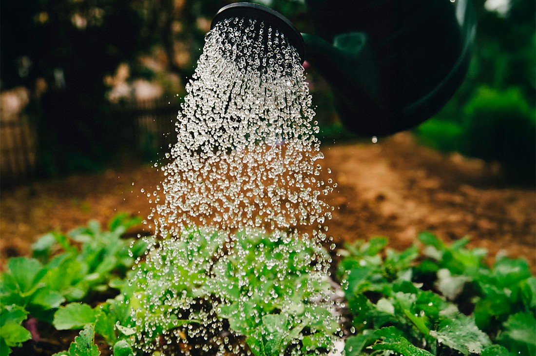 La gestion de l'eau