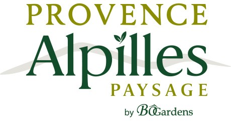 Provence Alpilles Paysage