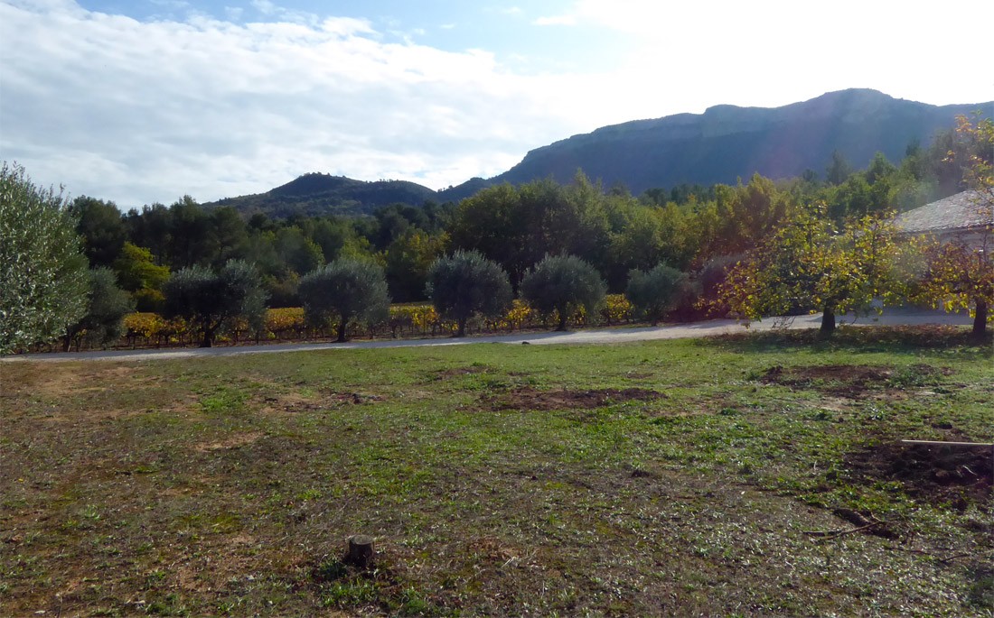 Aménagement extérieur domaine viticole