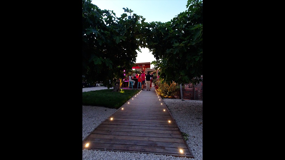 Aménagement extérieur domaine viticole